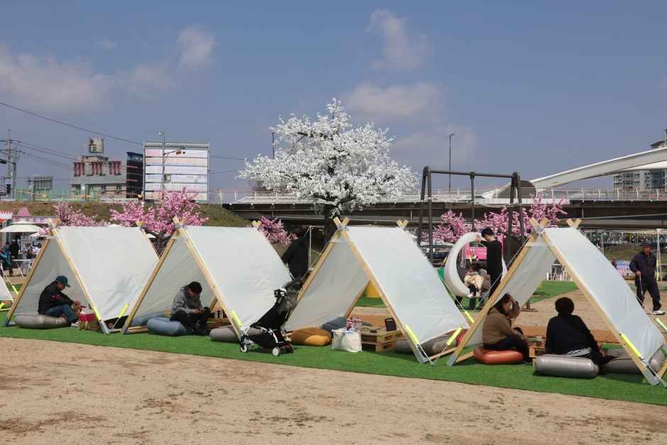 2026 보은 벚꽃길 축제 (5).JPG