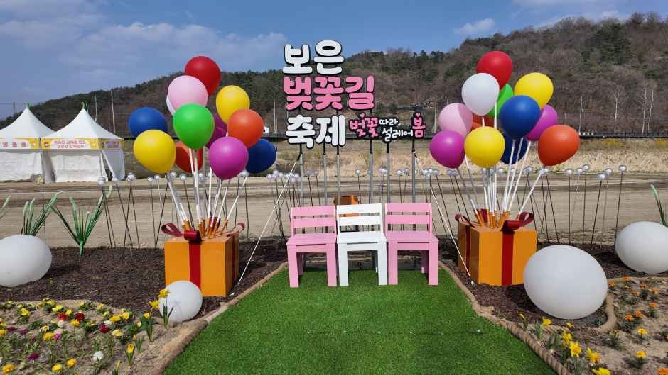 2026 보은 벚꽃길 축제 (4).JPG