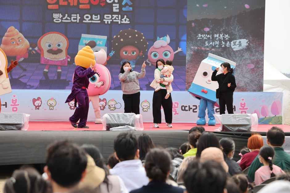 2026 보은 벚꽃길 축제 (2).JPG