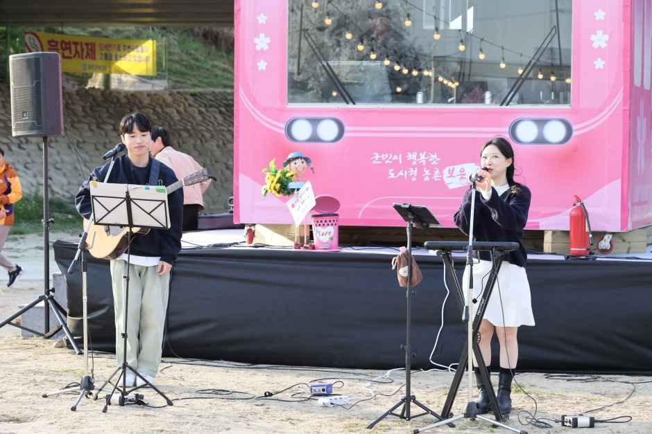 2026 보은 벚꽃길 축제 (10).JPG