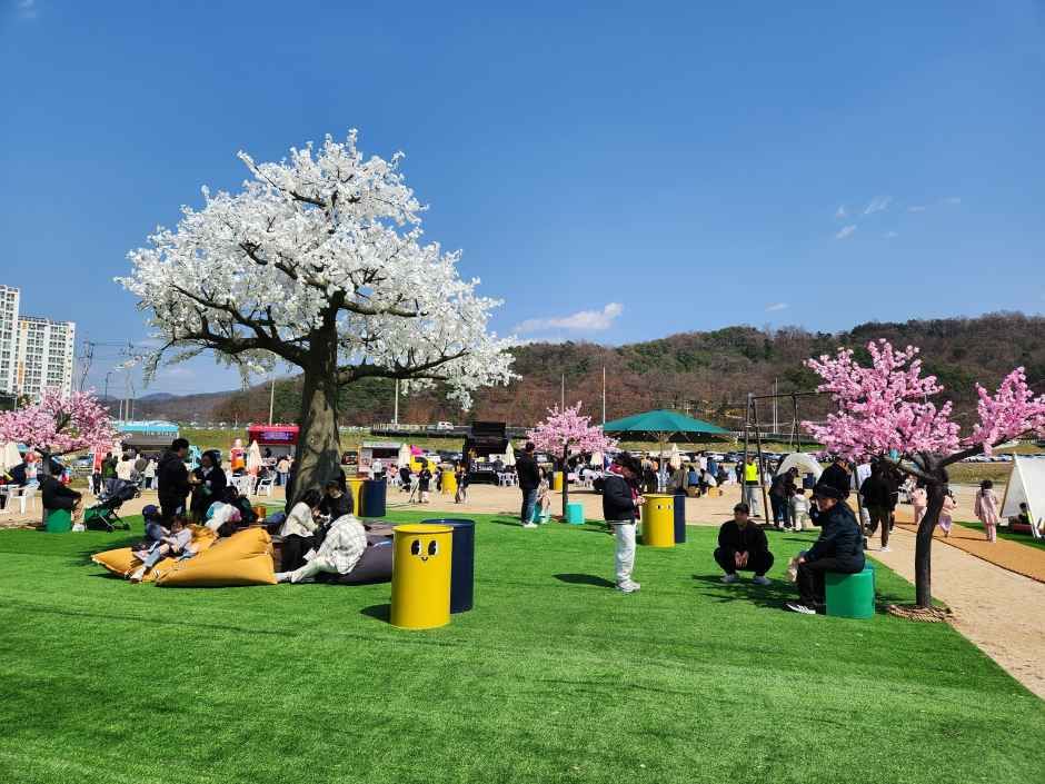 2026 보은 벚꽃길 축제 (8).jpg