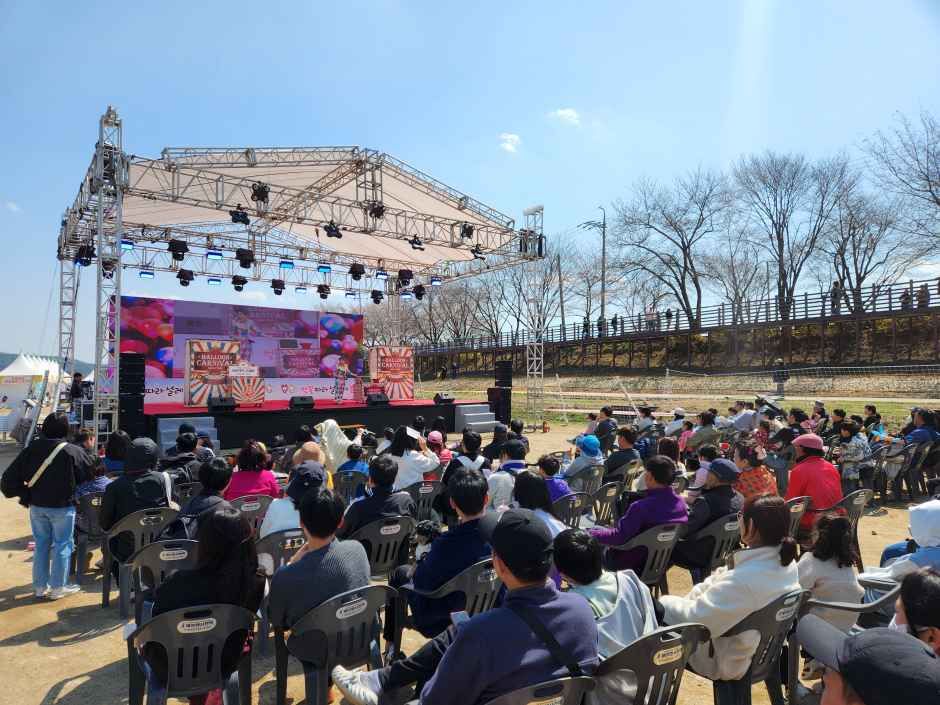 2026 보은 벚꽃길 축제 (6).jpg