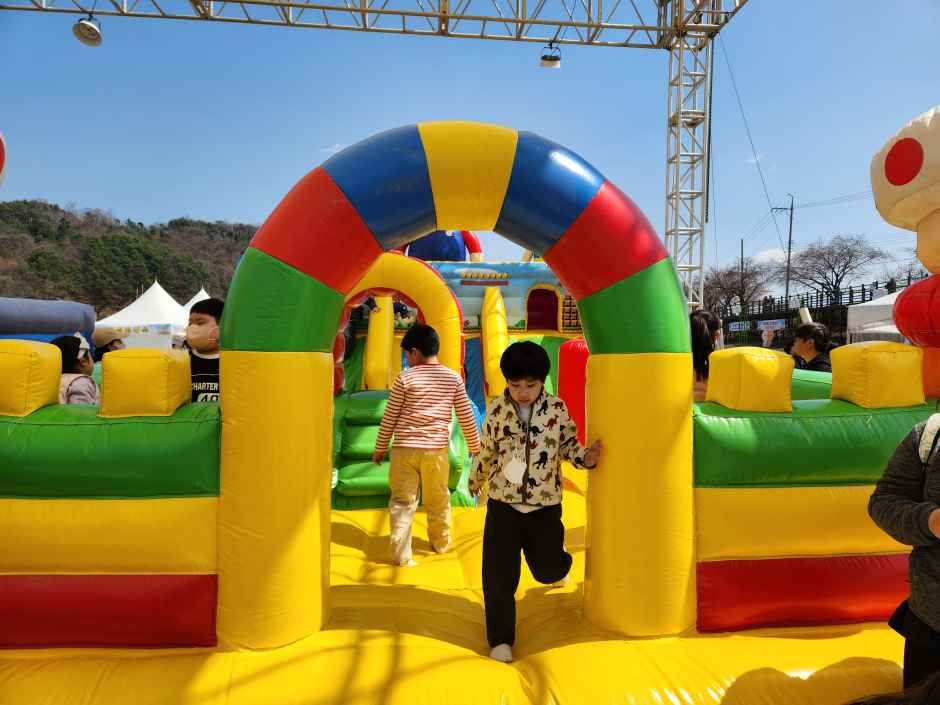2026 보은 벚꽃길 축제 (7).jpg