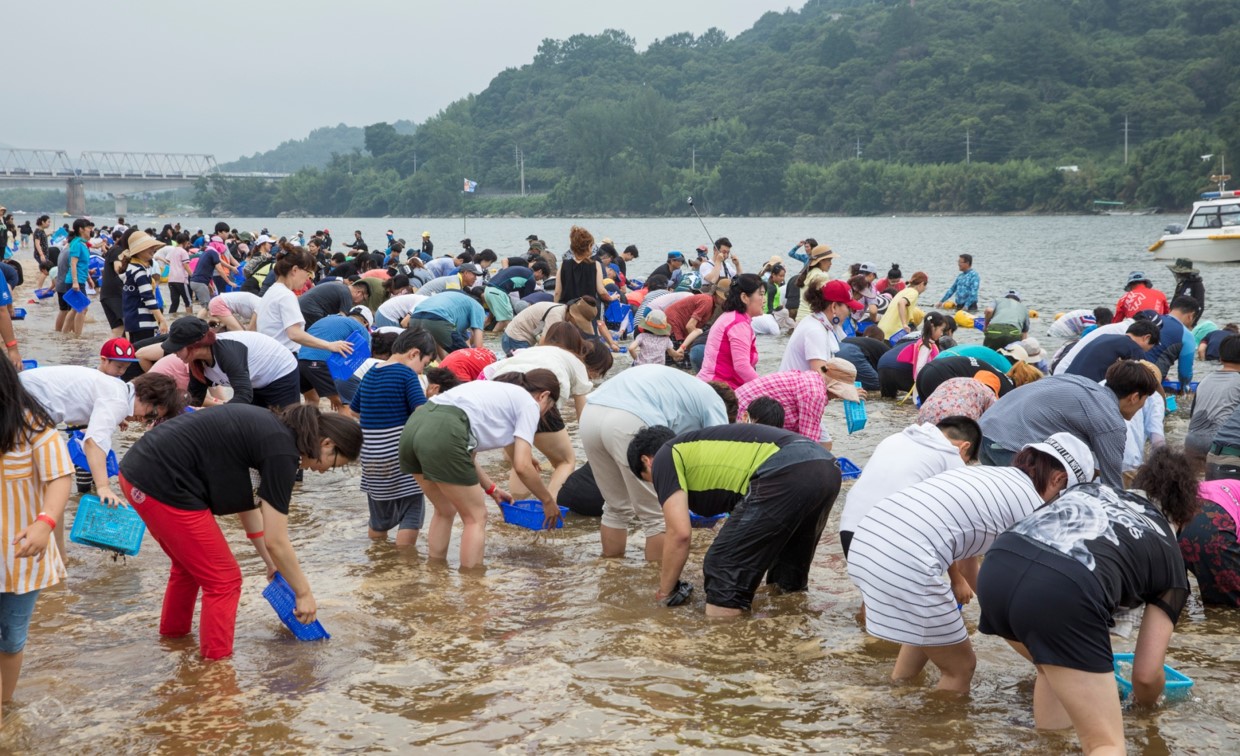 알프스하동 섬진강문화 재첩축제 4