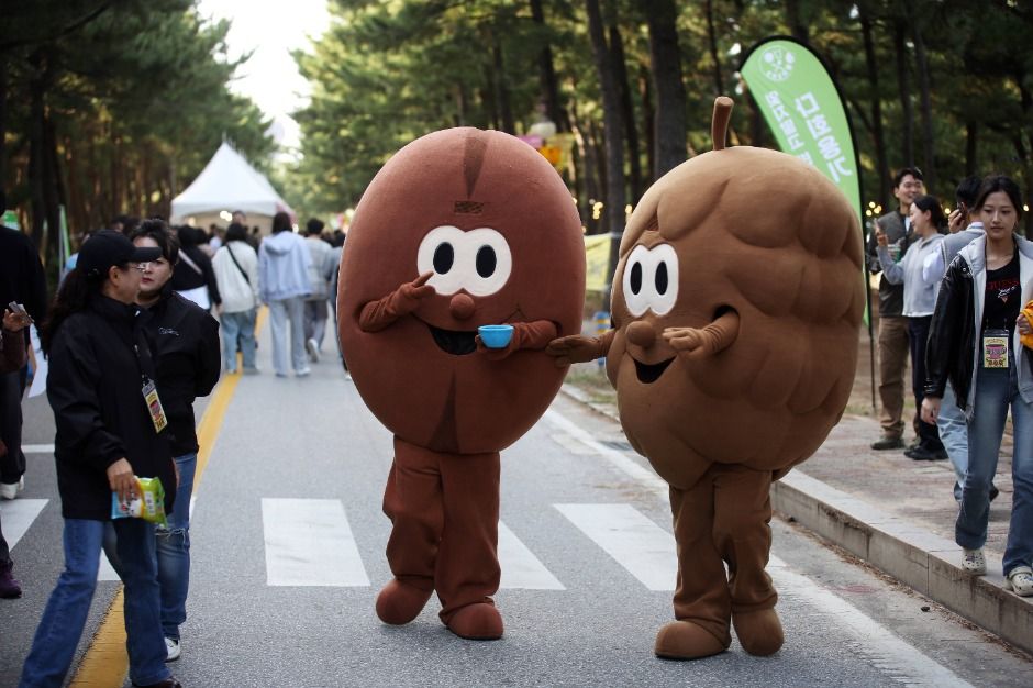 강릉커피축제 포스터 · 강원 축제