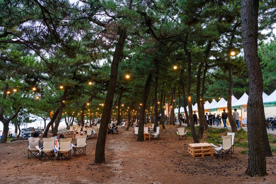 2026 강릉커피축제 (8).jpg