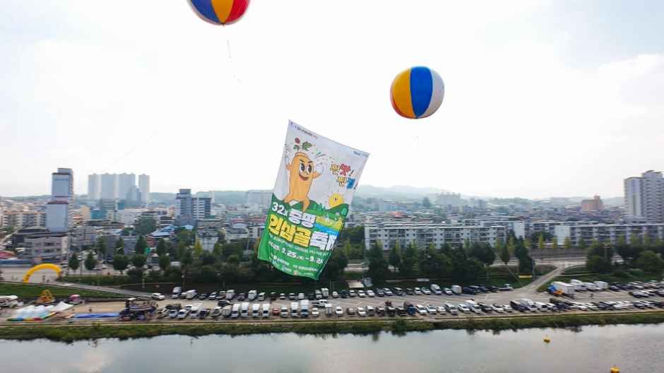 2026 증평인삼골축제 (4).jpg