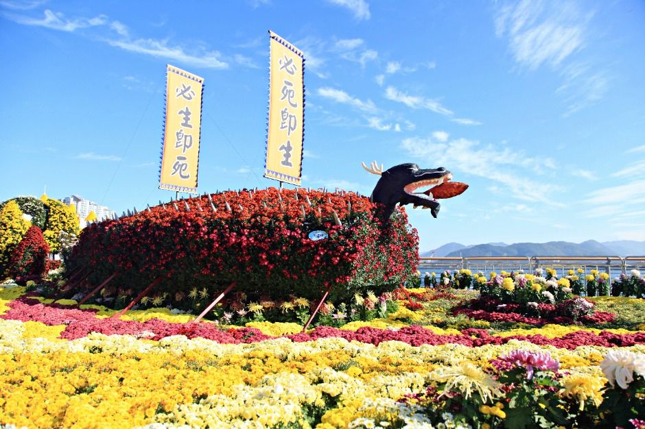 2025 마산가고파국화축제 5