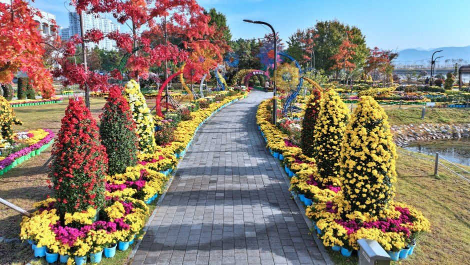 2026 마산가고파국화축제 (7).jpg
