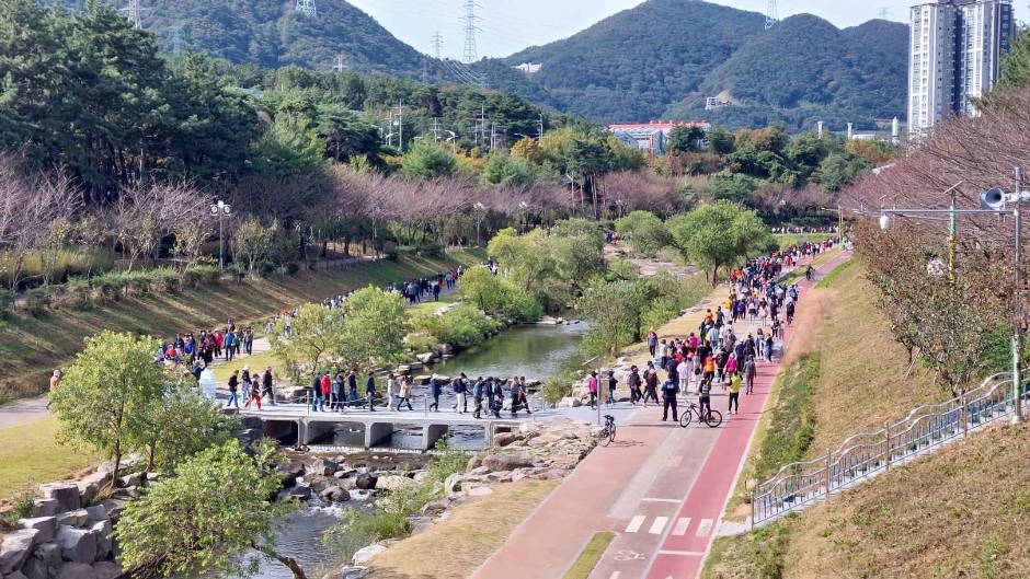 2024 정관생태하천학습문화축제 3