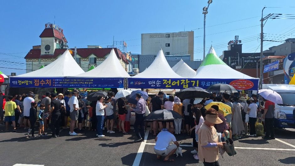 2025 사천시 삼천포항 자연산 전어축제 4