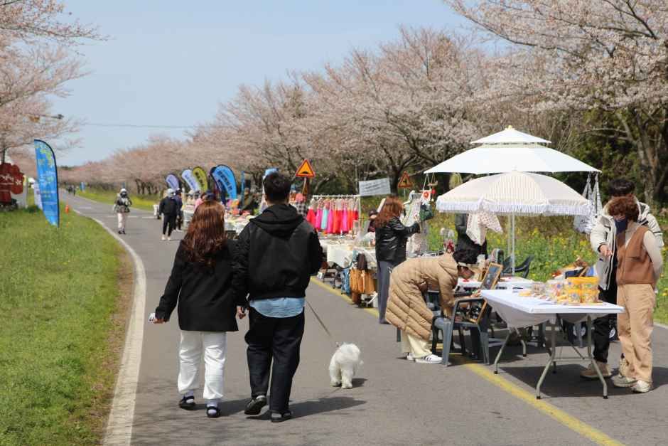 2026 서귀포유채꽃축제 (3).jpg