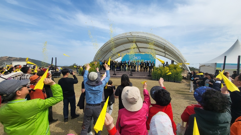2024서귀포유채꽃축제 1