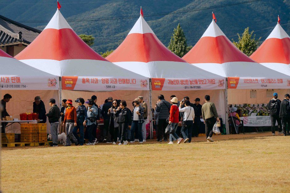 2026 영주 사과축제 (3).jpg