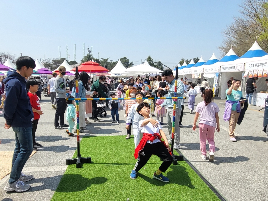 김제 꽃빛드리 축제 | 지역축제 | 대한민국 구석구석 축제