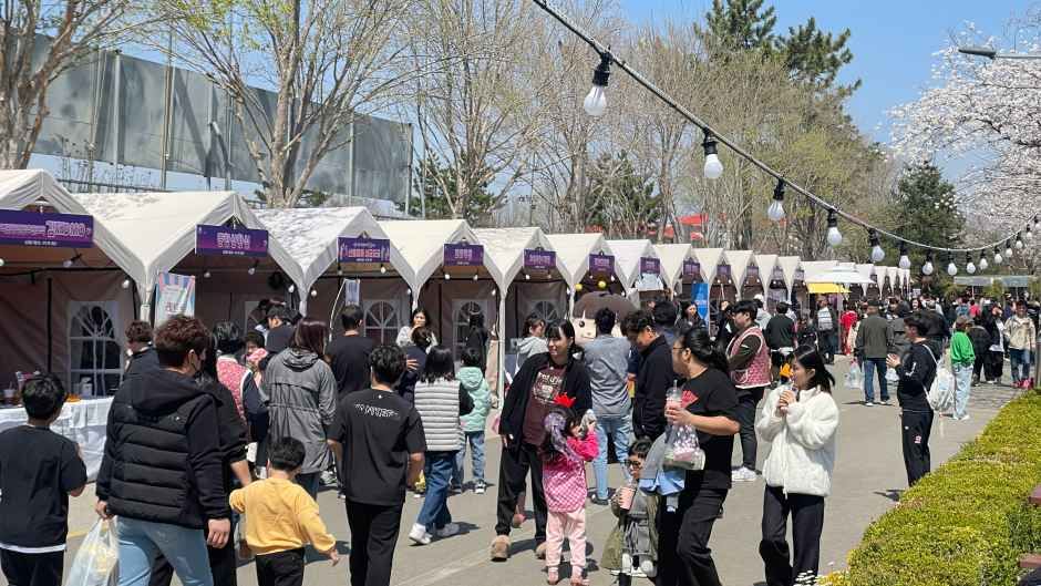 김제 꽃빛드리 축제 참고 이미지 2