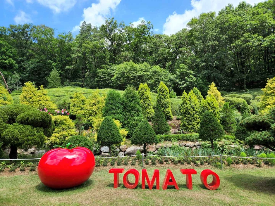 2024 율봄식물원 토마토 시즌 1