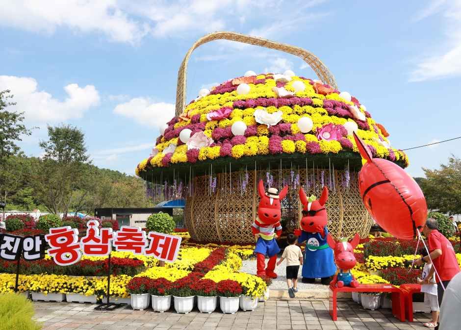 진안홍삼축제 포스터 · 전북 축제