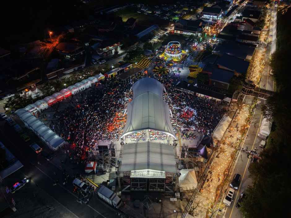 2026 진안홍삼축제 (9).jpg
