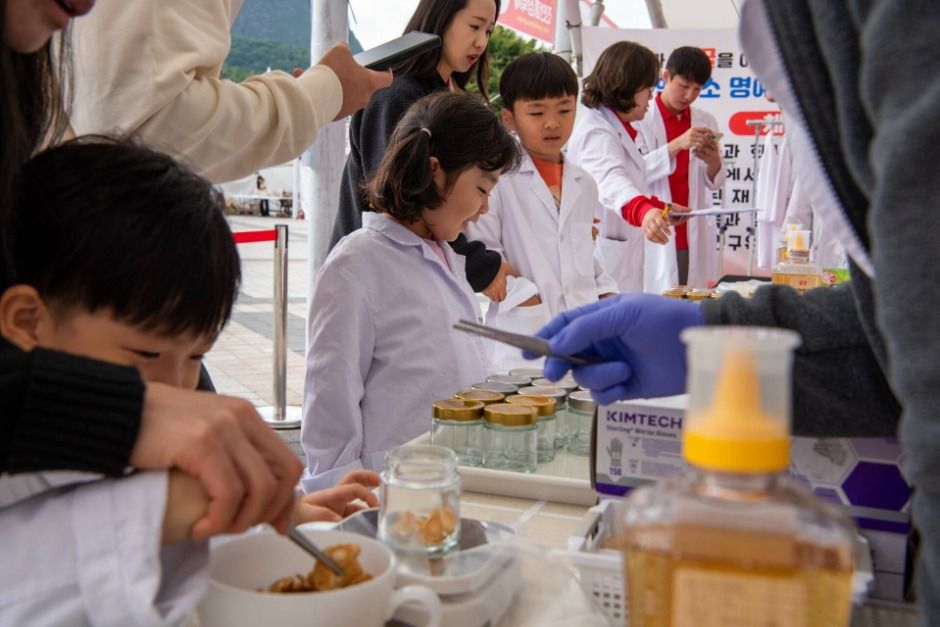 2025 진안홍삼축제 1