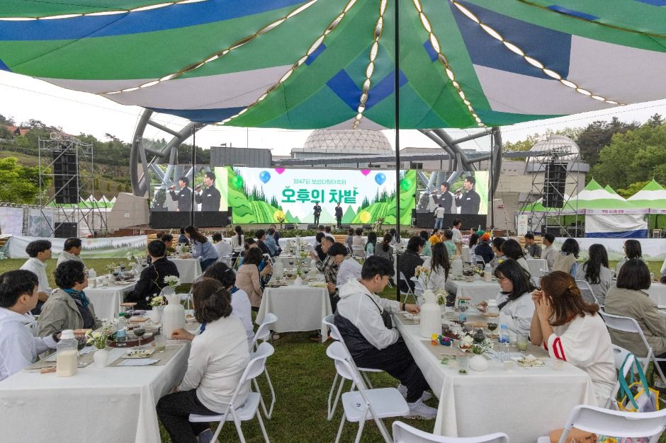 2025 보성다향대축제 3