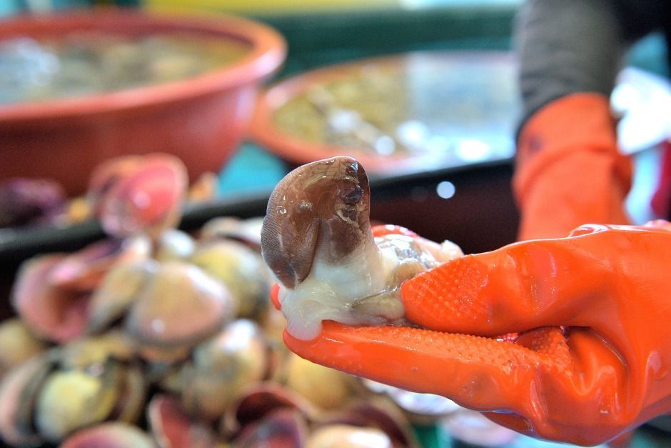 2025 홍성남당항 새조개와 함께하는 수산물 축제 3