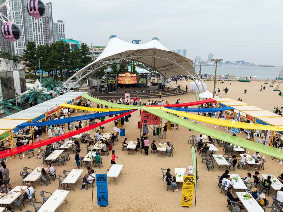 2026 속초 썸머페스티벌 (2).jpg